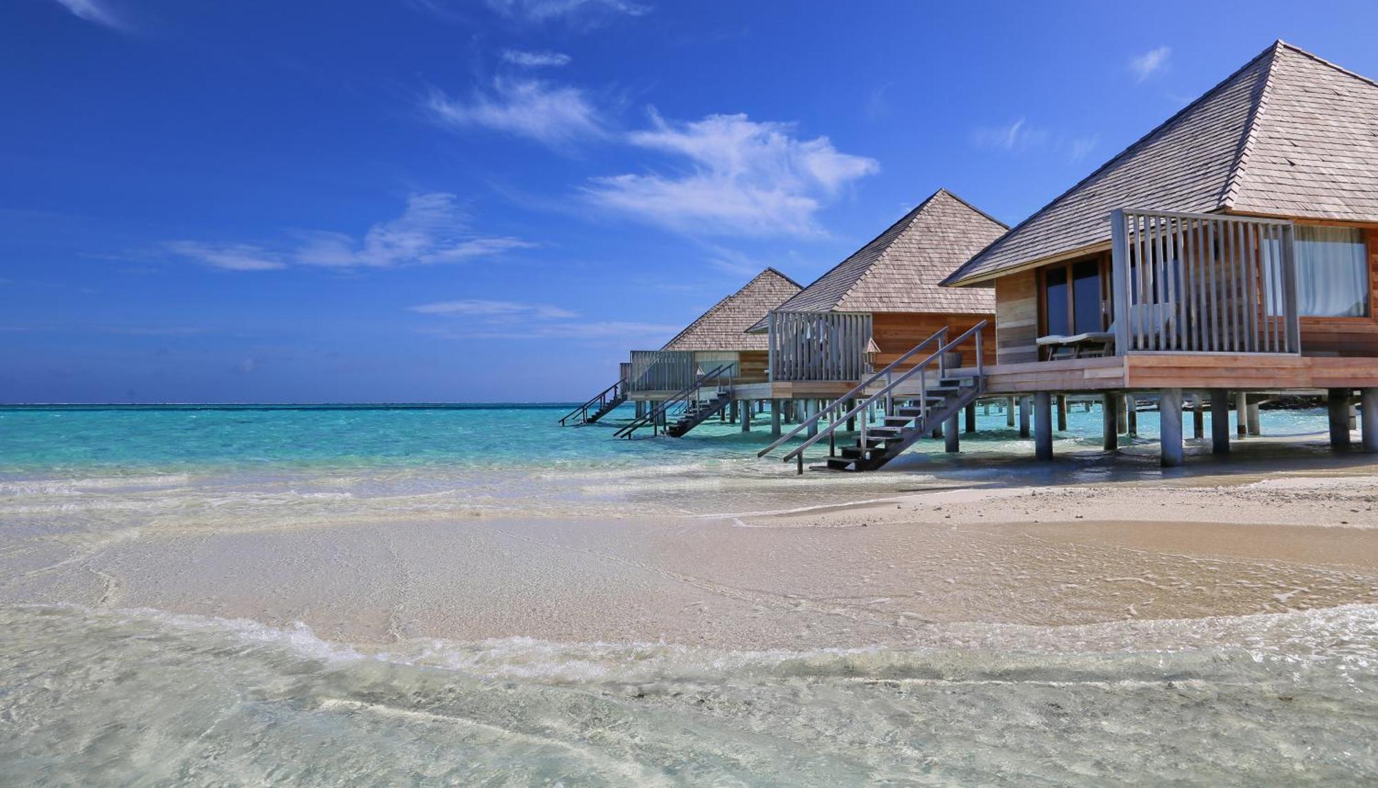 Gangehi Island Resort & Spa Номер фото