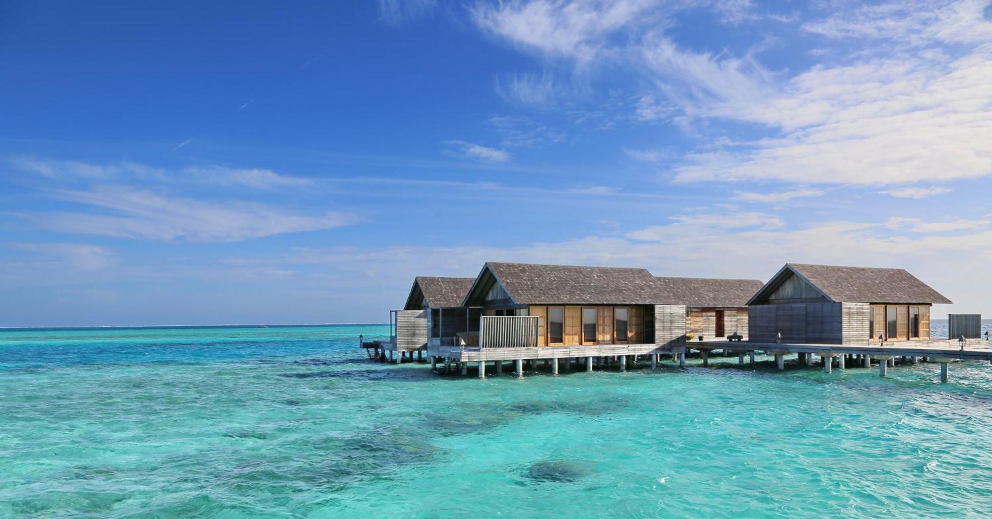 Gangehi Island Resort & Spa Номер фото