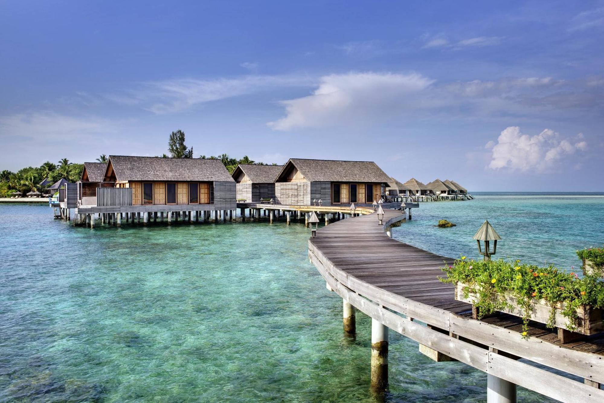 Gangehi Island Resort & Spa Номер фото